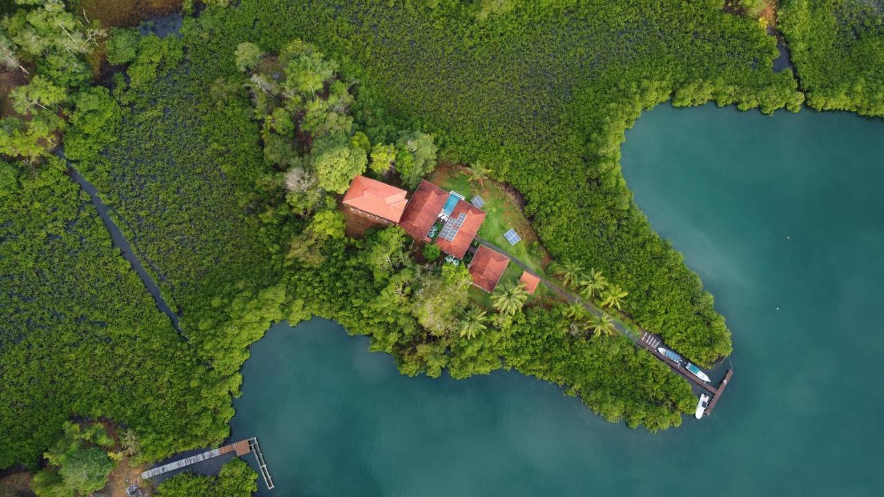 Casa Marlin Bed & Breakfast Bocas Town Luaran gambar