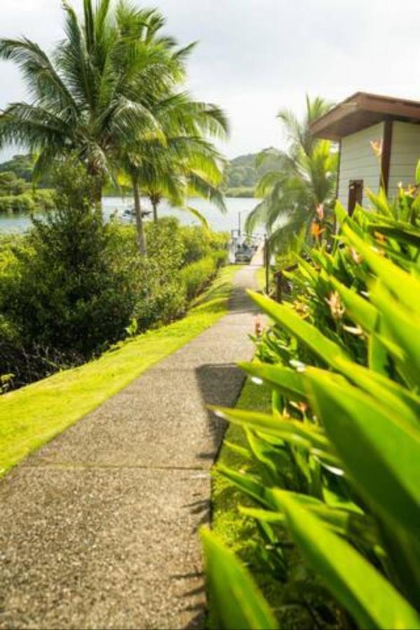 Casa Marlin Bed & Breakfast Bocas Town Luaran gambar