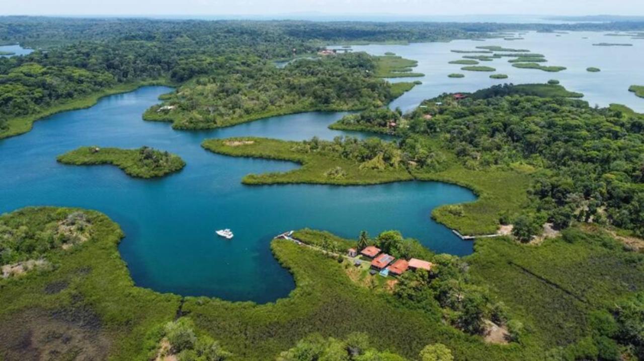 Casa Marlin Bed & Breakfast Bocas Town Luaran gambar