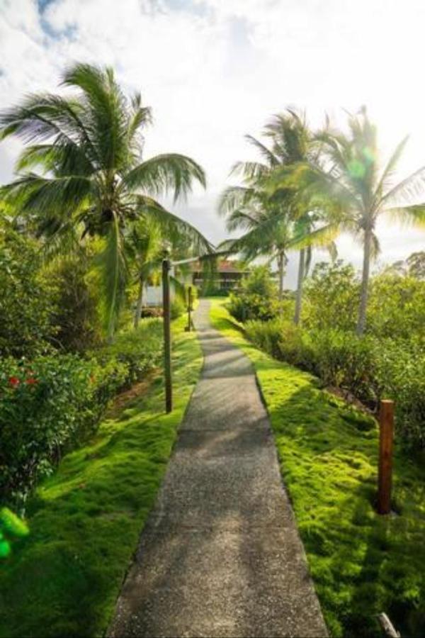 Casa Marlin Bed & Breakfast Bocas Town Luaran gambar